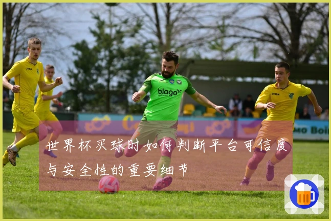 世界杯买球时如何判断平台可信度与安全性的重要细节