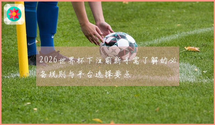 2026世界杯下注前新手需了解的必备规则与平台选择要点
