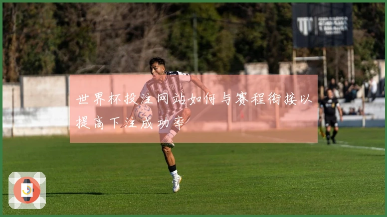 世界杯投注网站如何与赛程衔接以提高下注成功率