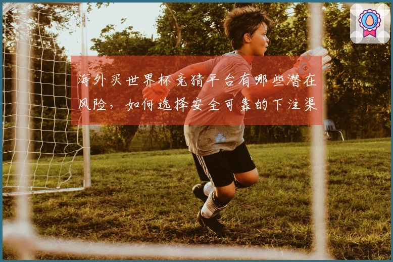 海外买世界杯竞猜平台有哪些潜在风险，如何选择安全可靠的下注渠道？